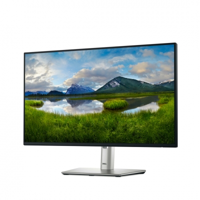 Monitor Dell P2425He-2 23.8
