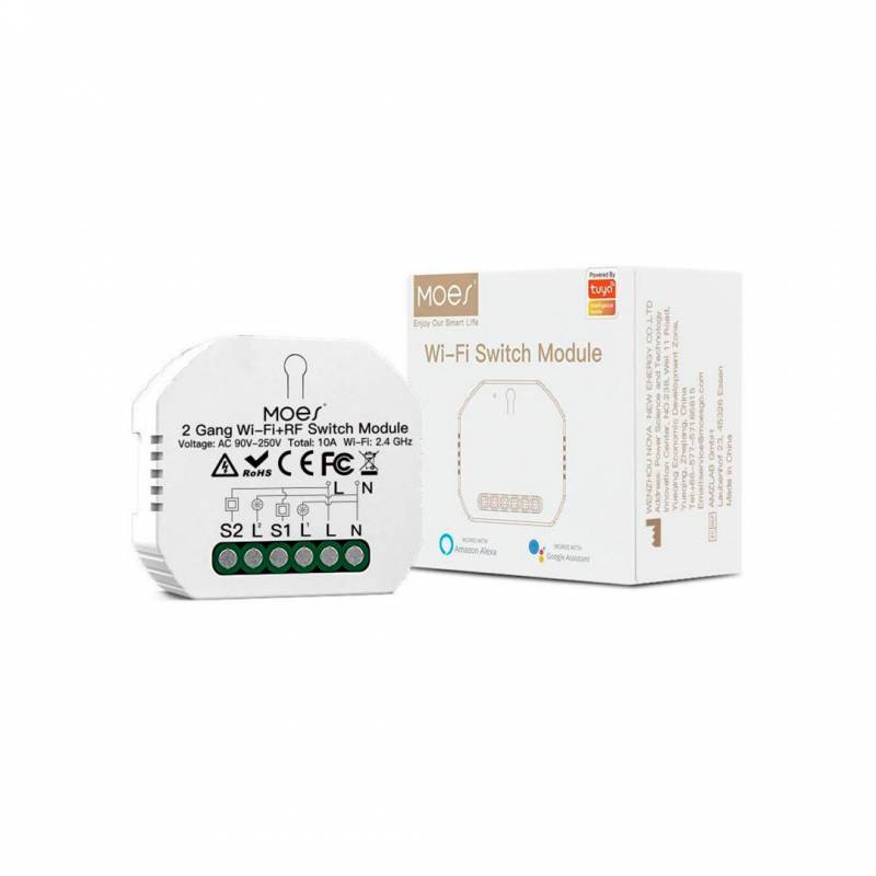 Switch Diy Mini 2 Gang Wifi + Rf433