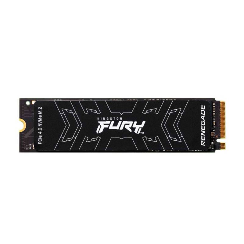 Ssd Int Fury Renegade Nvme M2